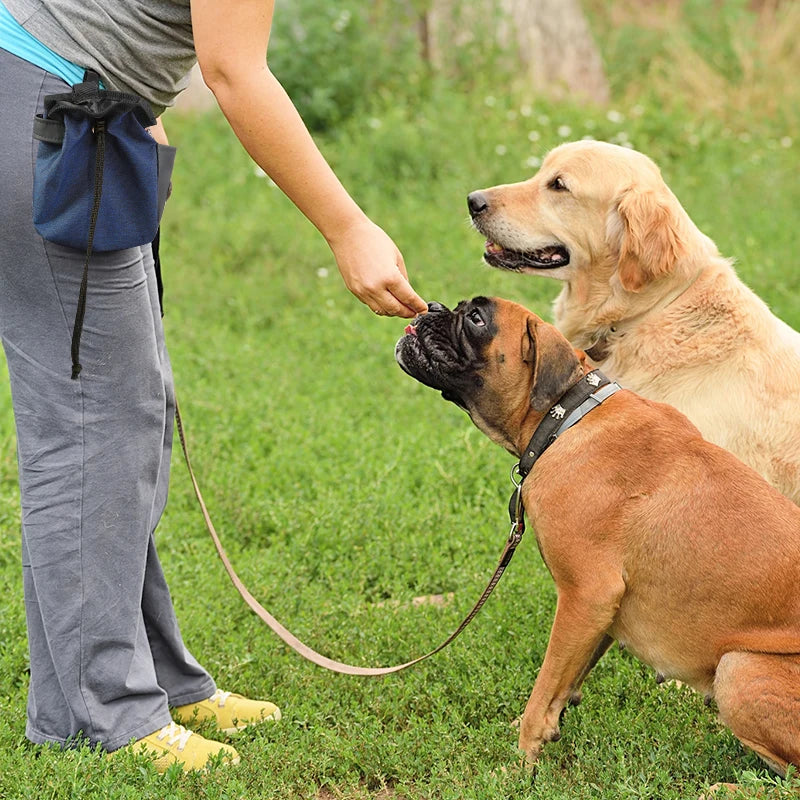 Premium Portable Dog Treat Pouch With Bag Dispenser