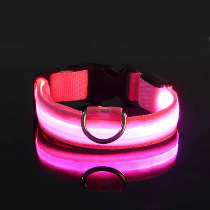 LED Safety Collar For Dogs with Battery