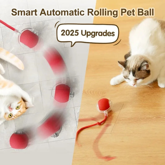 Cat Toy Interactive Ball