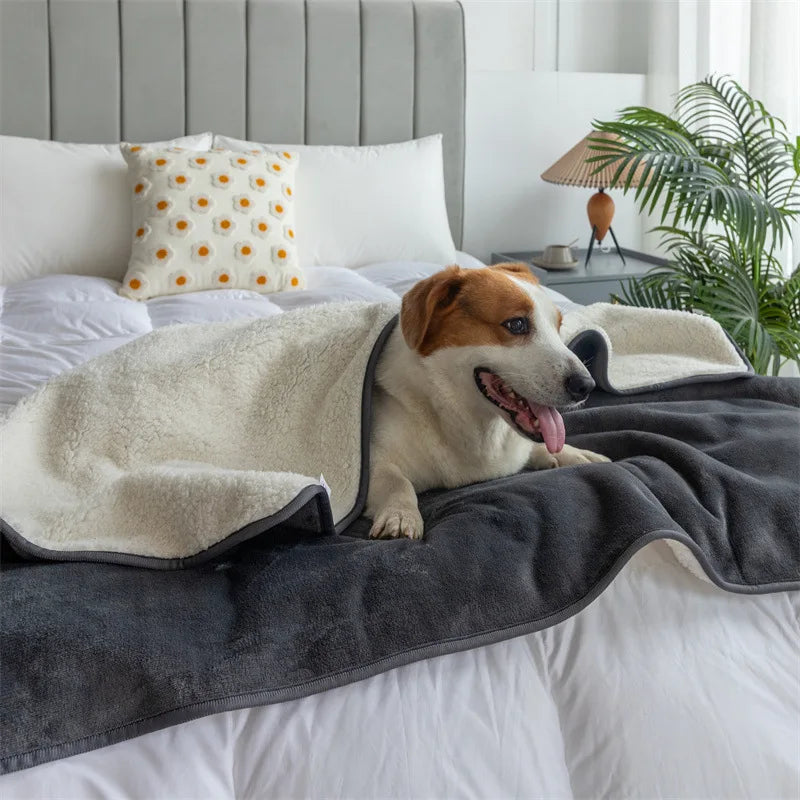 Waterproof and Reversible Premium Pet Blanket