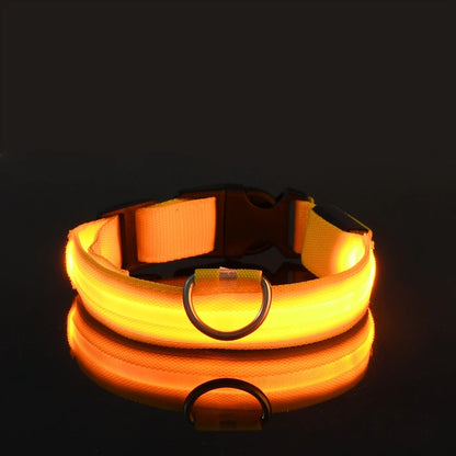 LED Safety Collar For Dogs with Battery