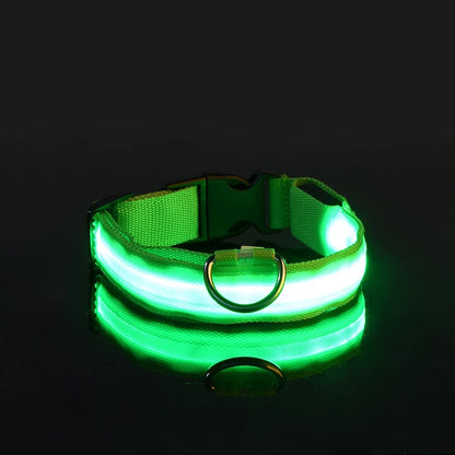 LED Safety Collar For Dogs with Battery