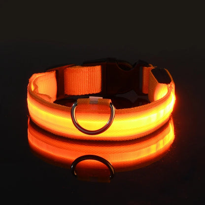 LED Safety Collar For Dogs with Battery