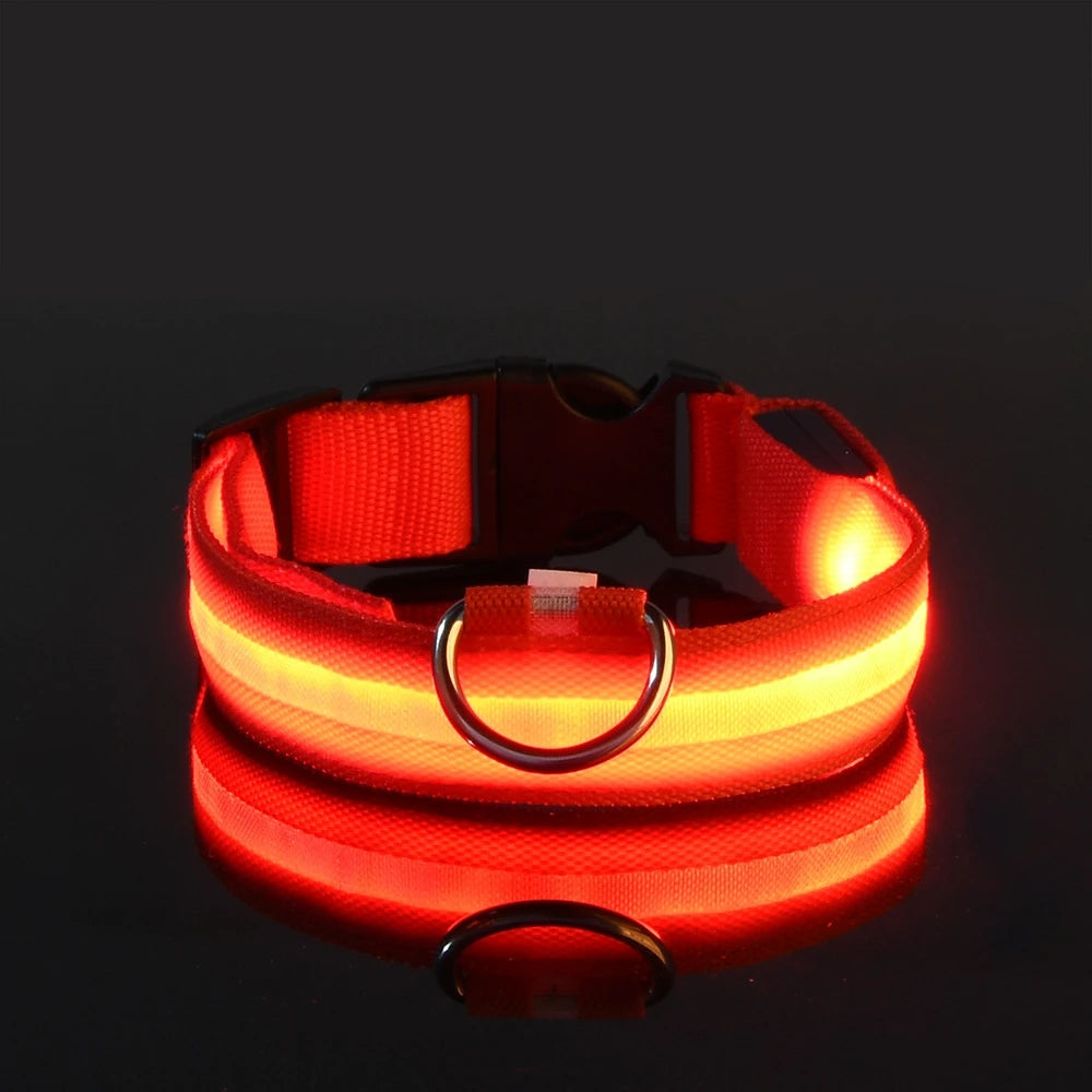 LED Safety Collar For Dogs with Battery