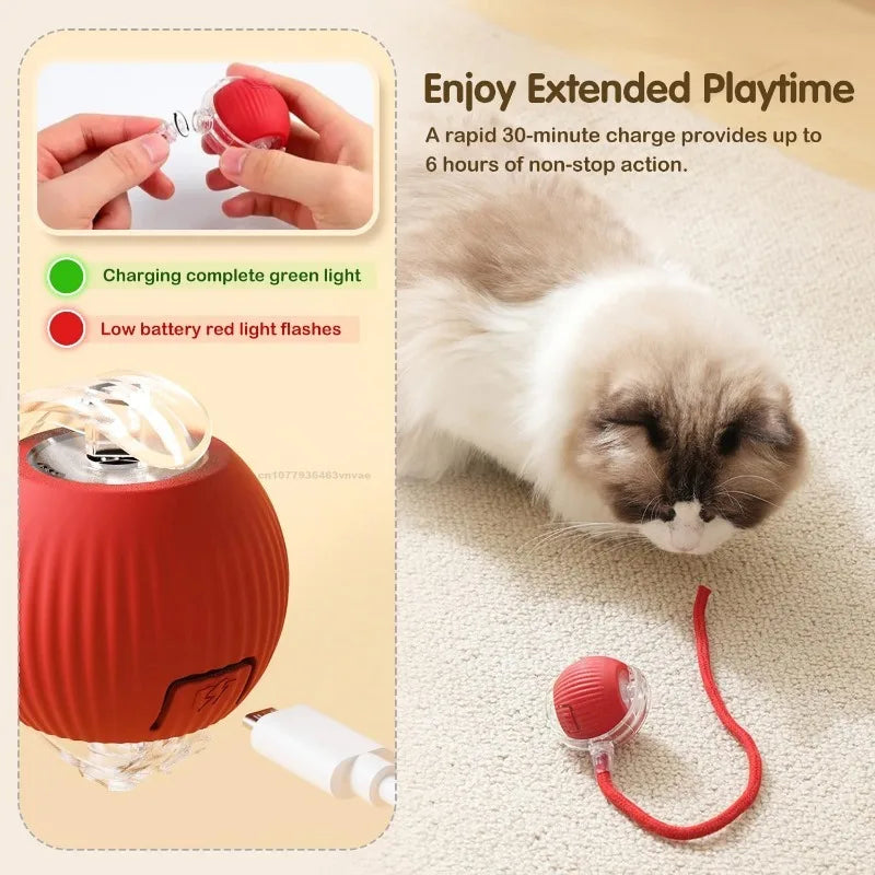 Cat Toy Interactive Ball